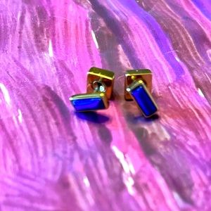 Stella and Dot Blue and Gold reversible earrings